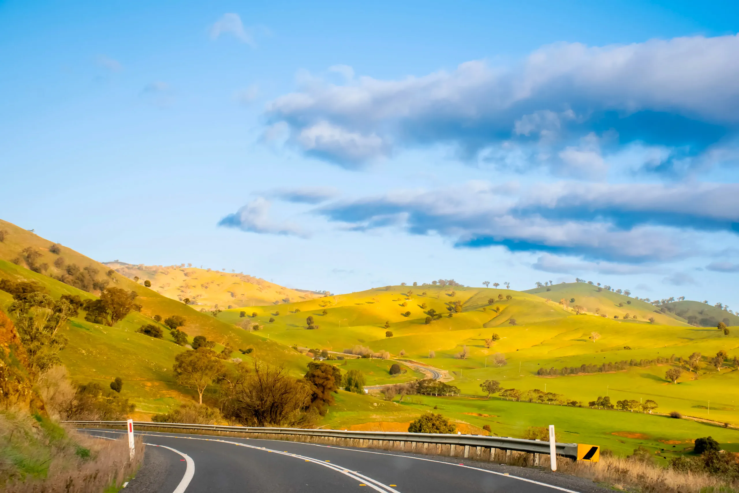Country road winding through green hills near the Razorback Range